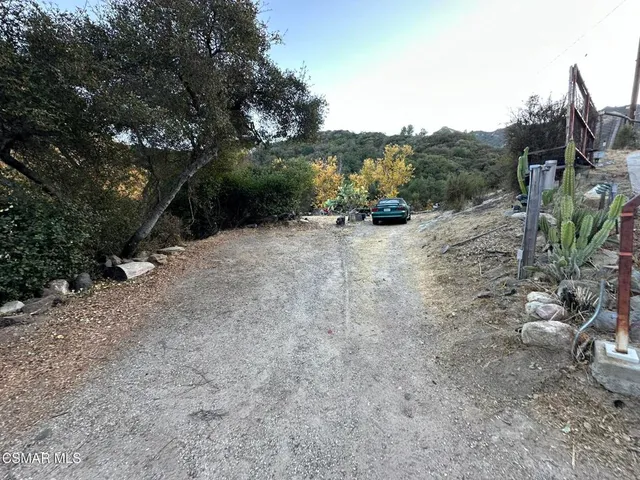 a view of a road with plants and trees
