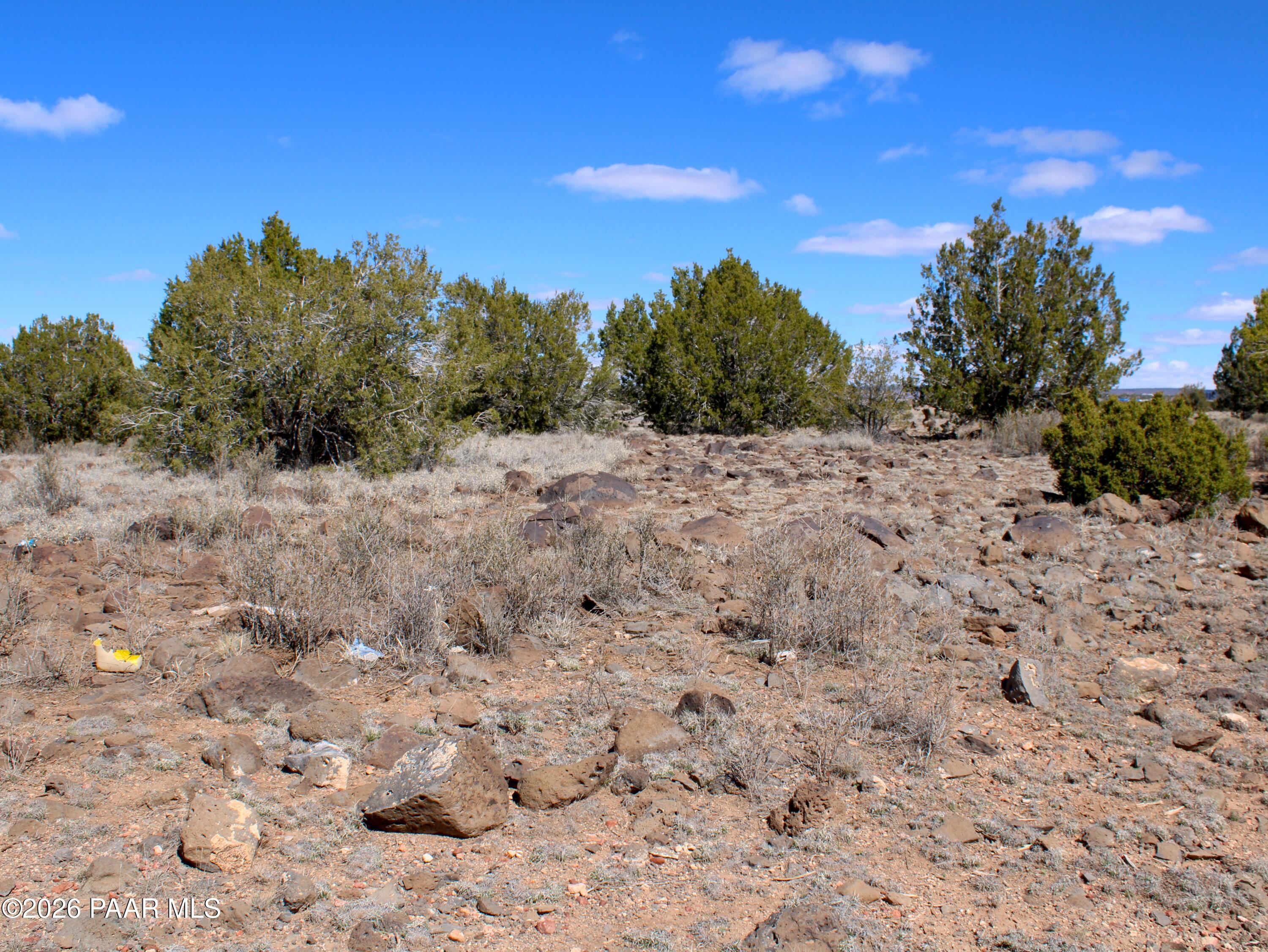 294 Crimson Hill Road Ash Fork, AZ 86320 - Photo 9 of 11 a view of a dry yard with trees in the background
