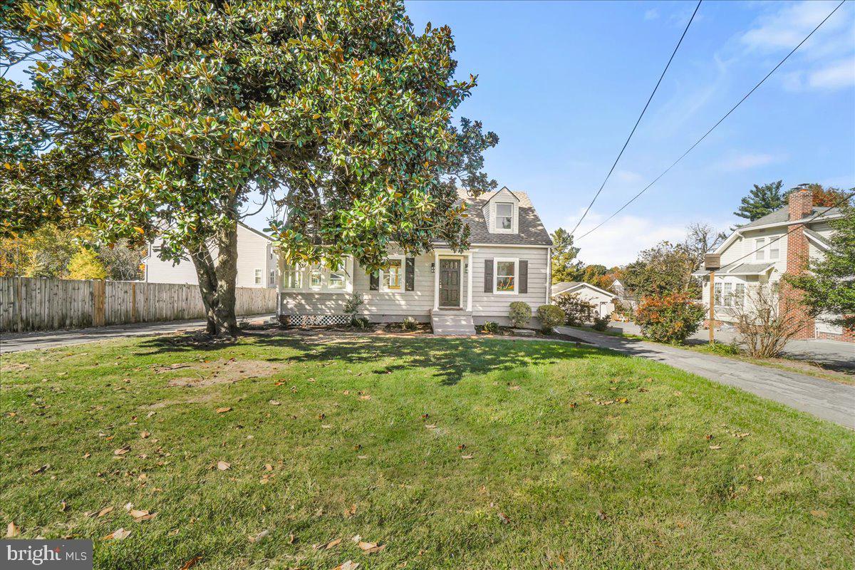 26618 Ridge Road Damascus, MD 20872 - Photo 5 of 65 Mature tree offers shade