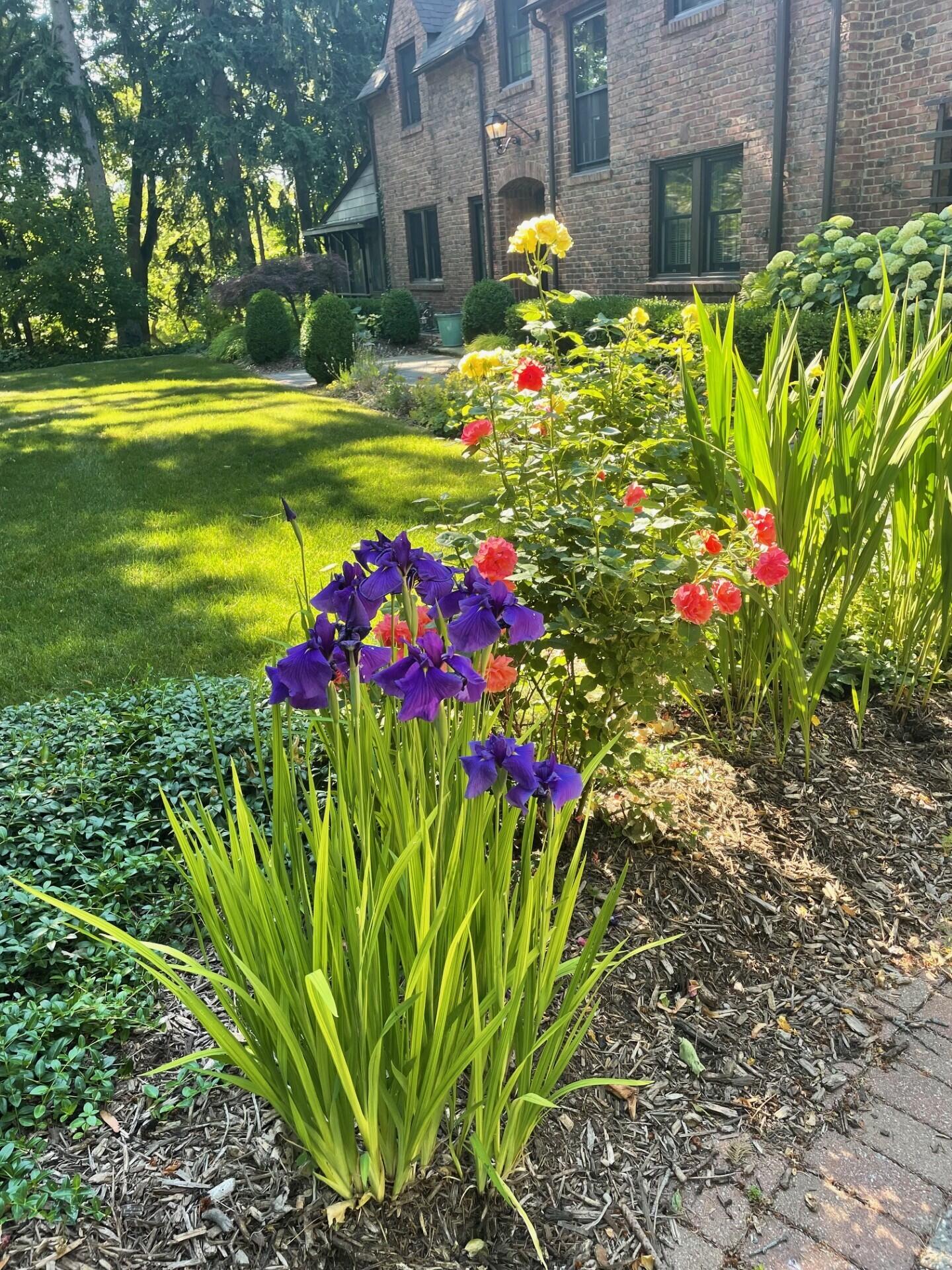 2204 Lafayette Road Ann Arbor, MI 48104 - Photo 67 of 76 thumbnail_IMG_7736 (1)