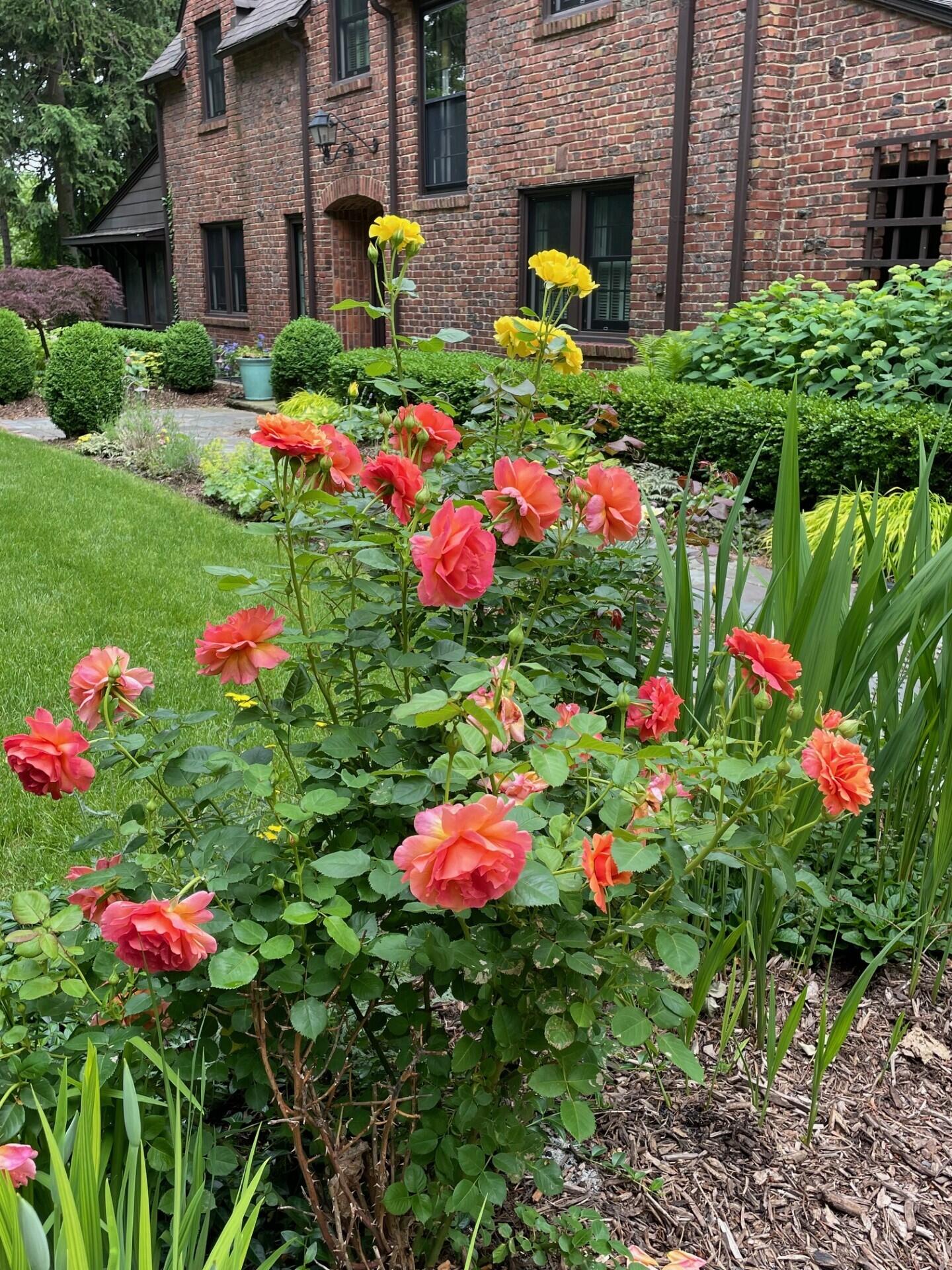 2204 Lafayette Road Ann Arbor, MI 48104 - Photo 69 of 76 thumbnail_IMG_7692