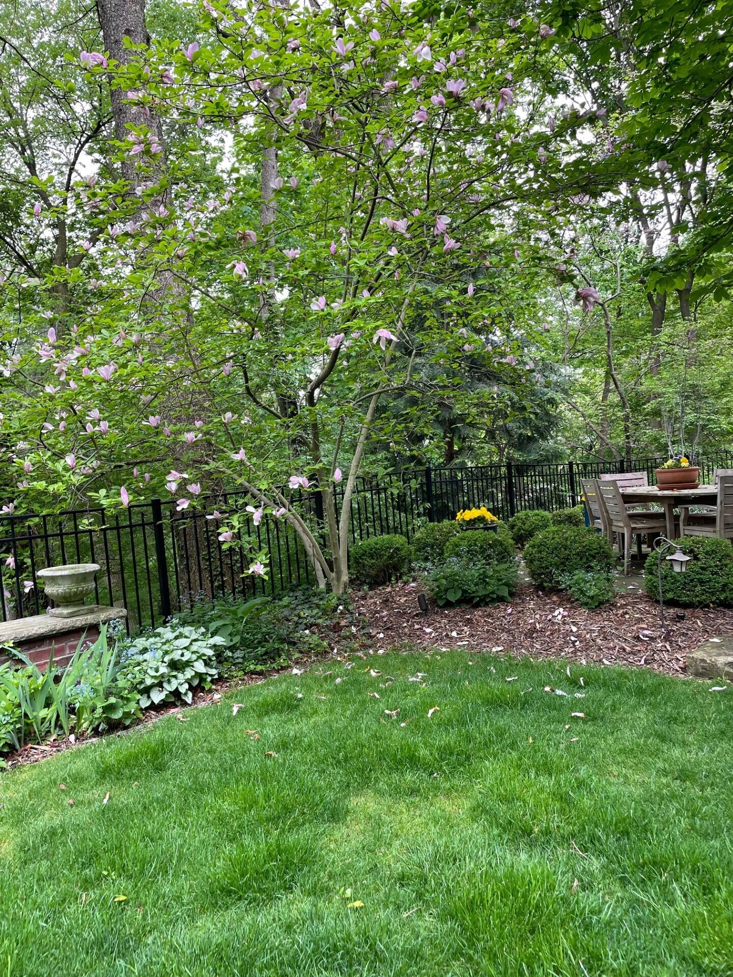 2204 Lafayette Road Ann Arbor, MI 48104 - Photo 72 of 76 thumbnail_IMG_9629
