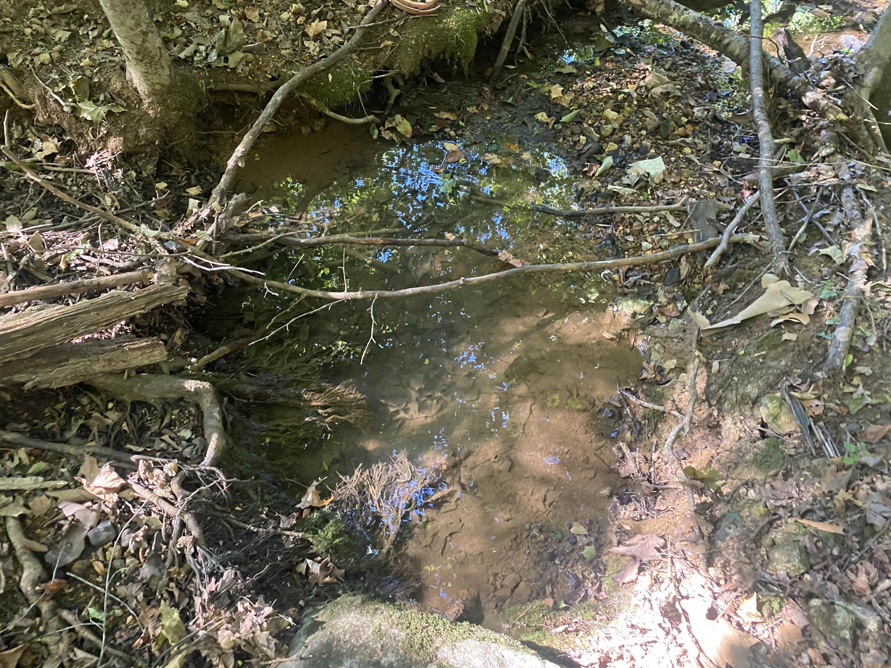 1 Friendship Loop Olivehill, TN 38475 - Photo 14 of 31