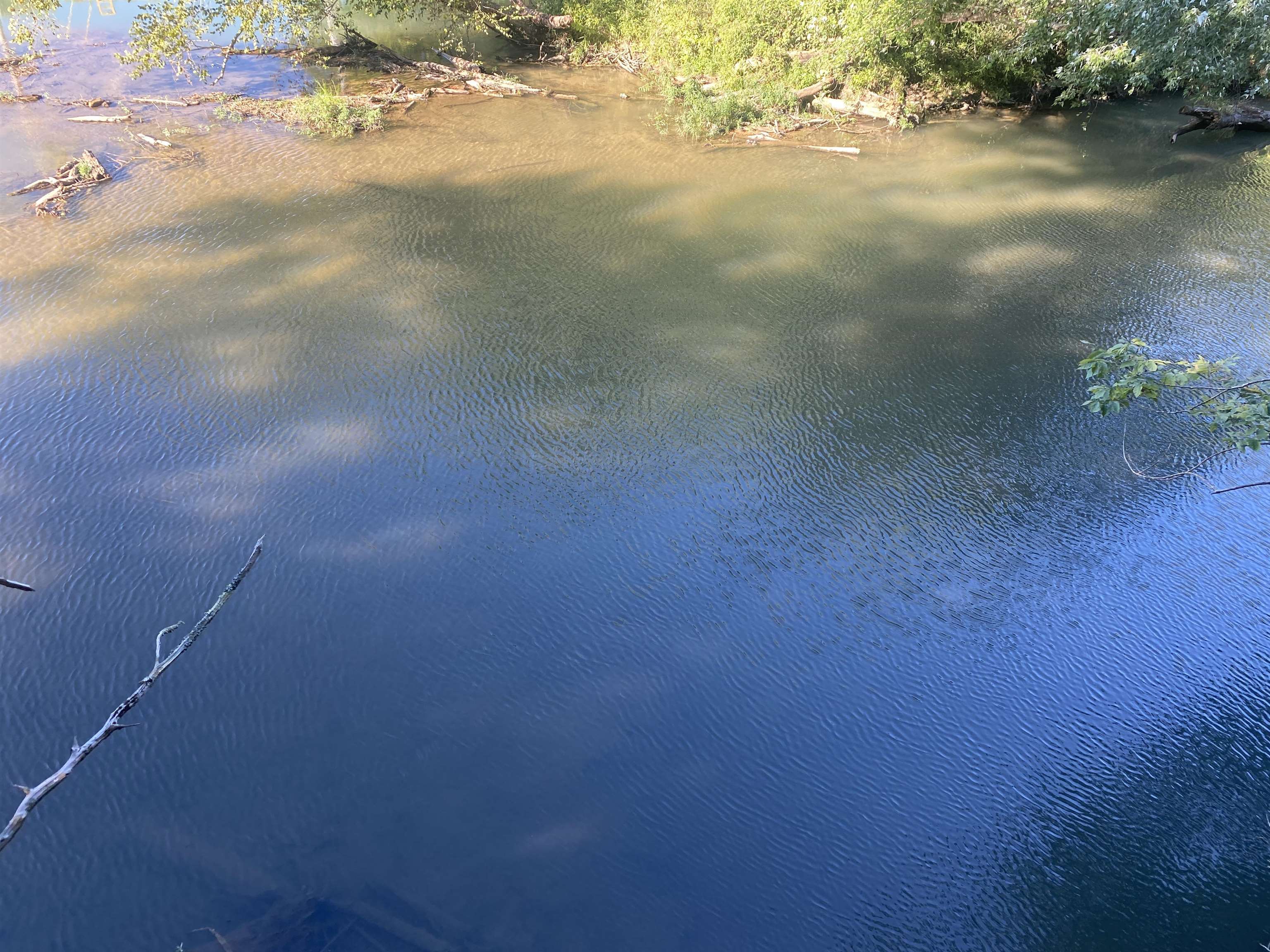 1 Friendship Loop Olivehill, TN 38475 - Photo 22 of 31 a view of a lake