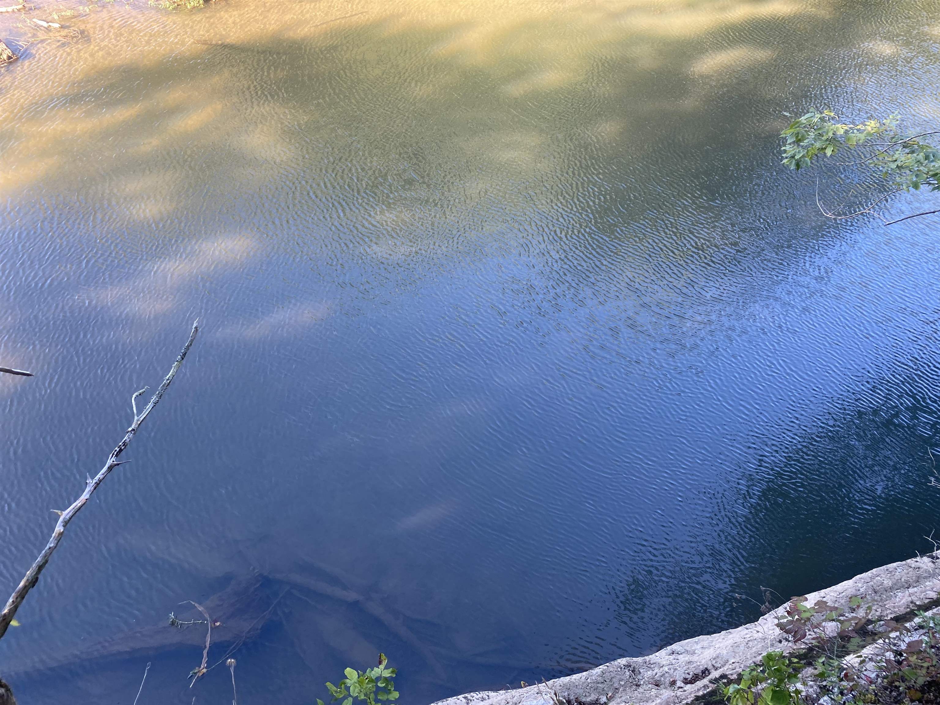 1 Friendship Loop Olivehill, TN 38475 - Photo 23 of 31