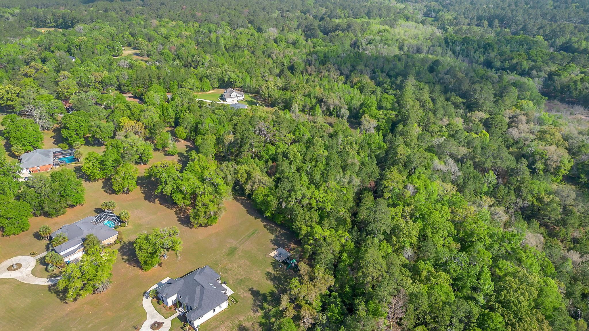Lot 11 Raspberry Way Tallahassee, FL 32312 - Photo 3 of 10