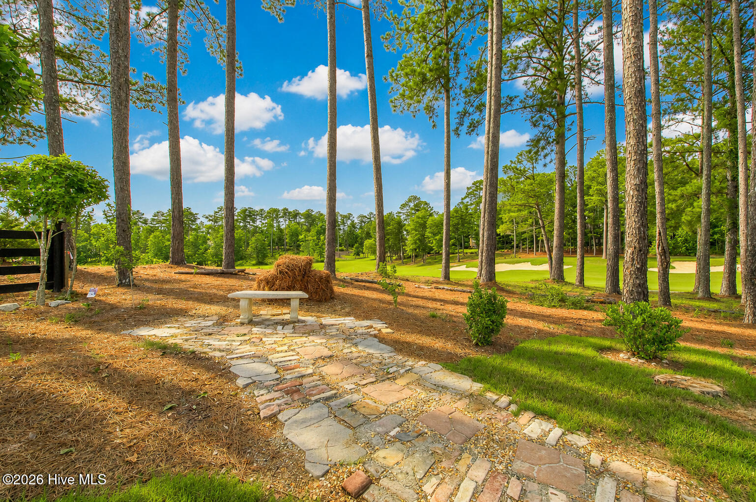 425 Cavalry Run North Augusta, SC 29860 - Photo 5 of 43