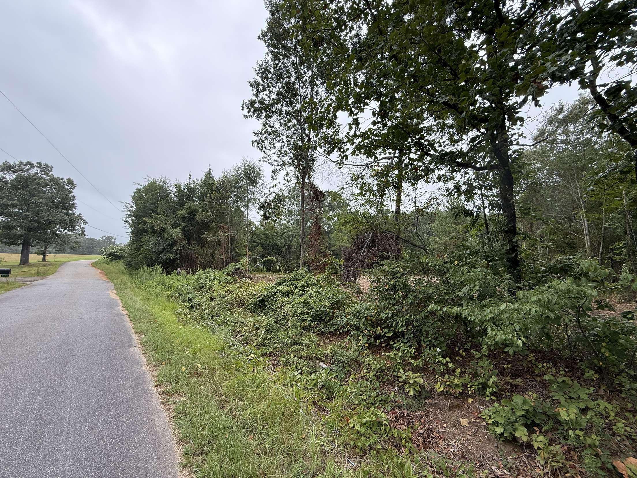 229 Holly Road Chesnee, SC 29323 - Photo 2 of 6