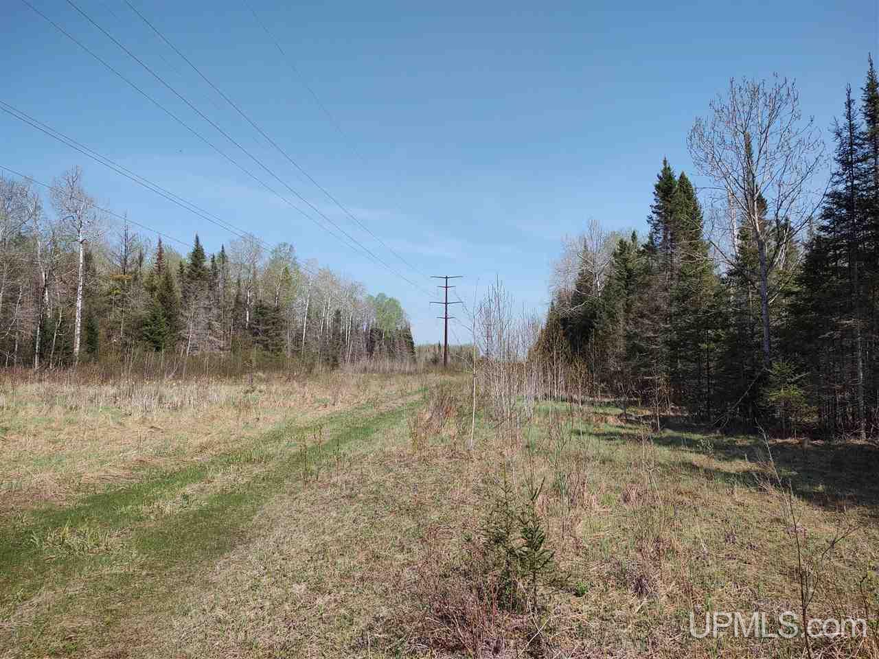 426 Rd Cornell Mi 49818 Road Cornell, MI 49818 - Photo 1 of 22
