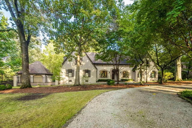a view of road with large trees