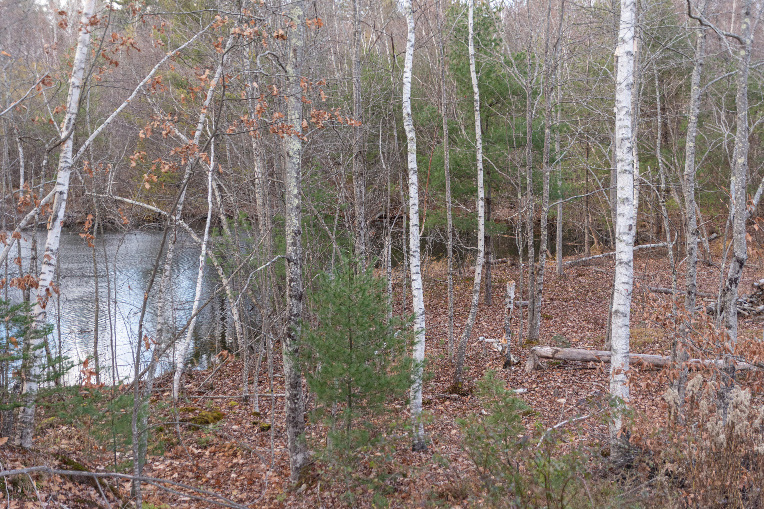 16 Great Falls Road Gorham, ME 04038 - Photo 10 of 55 DSC_5332