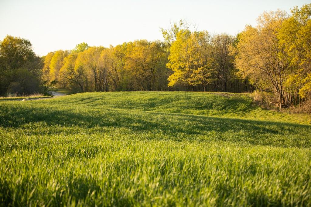 0 County Road 533 Rd  