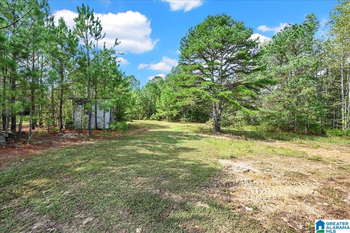 1672 Kirby Bridge Road Danville, AL 35619 - Photo 39 of 47