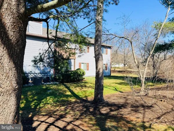 a view of a yard with plants and a tree