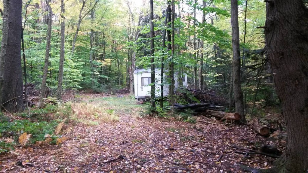 1 Birch Bluff Road Chester, MA 01011 - Photo 4 of 16 a backyard of a house with lots of green space