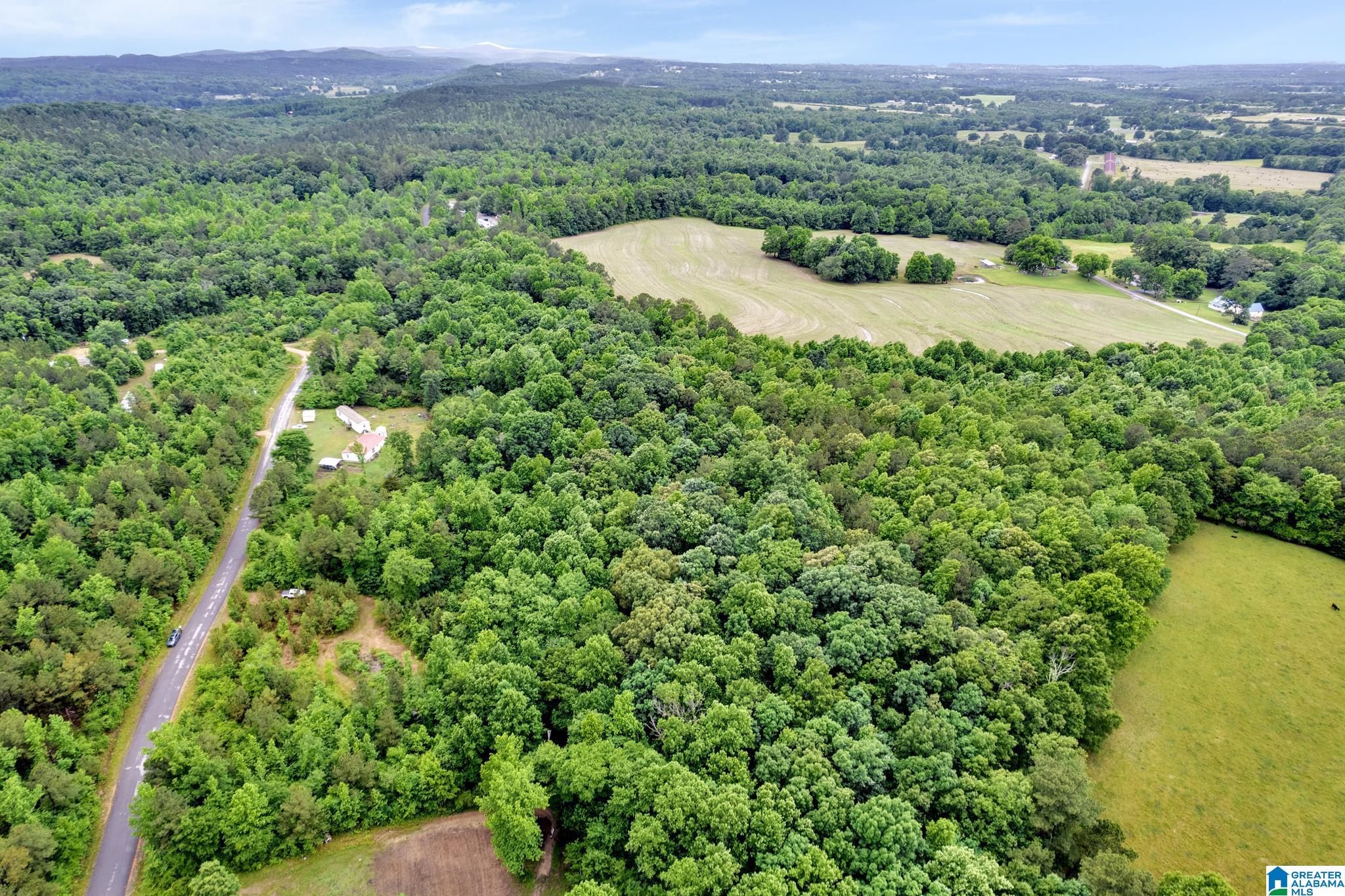 530 Mt Road Blountsville, AL 35031 - Photo 9 of 18