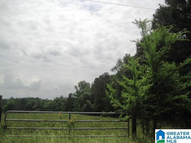0 Sulphur Springs Road, Unit 10 ACRES Lincoln, AL 35096 - Photo 24 of 32