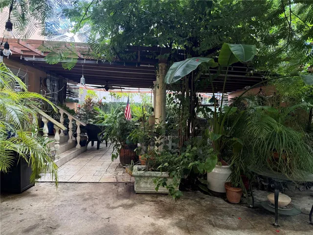 a view of a backyard with plants and a large tree