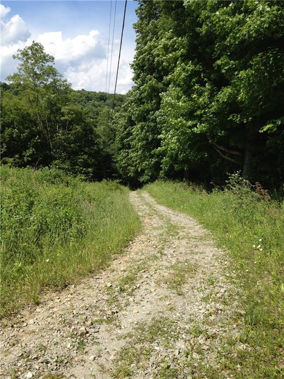 317 D Rock Canyon Road Acme, PA 15610 - Photo 9 of 12 Gallery Image 9