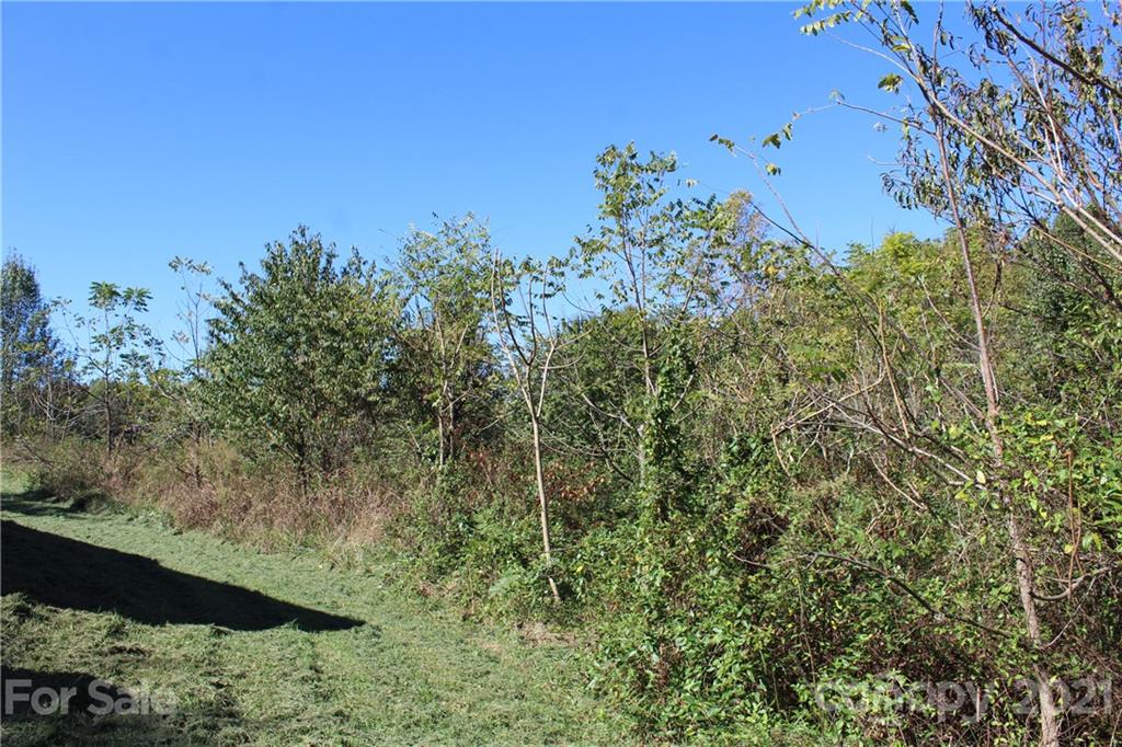 9265 Paul Payne Store Road Stony Point, NC 28678 - Photo 22 of 24 Gallery Image 22
