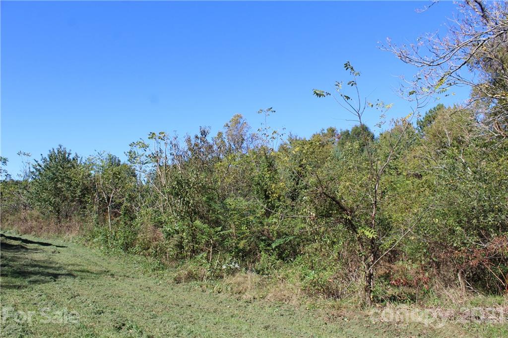 9265 Paul Payne Store Road Stony Point, NC 28678 - Photo 23 of 24 Gallery Image 23