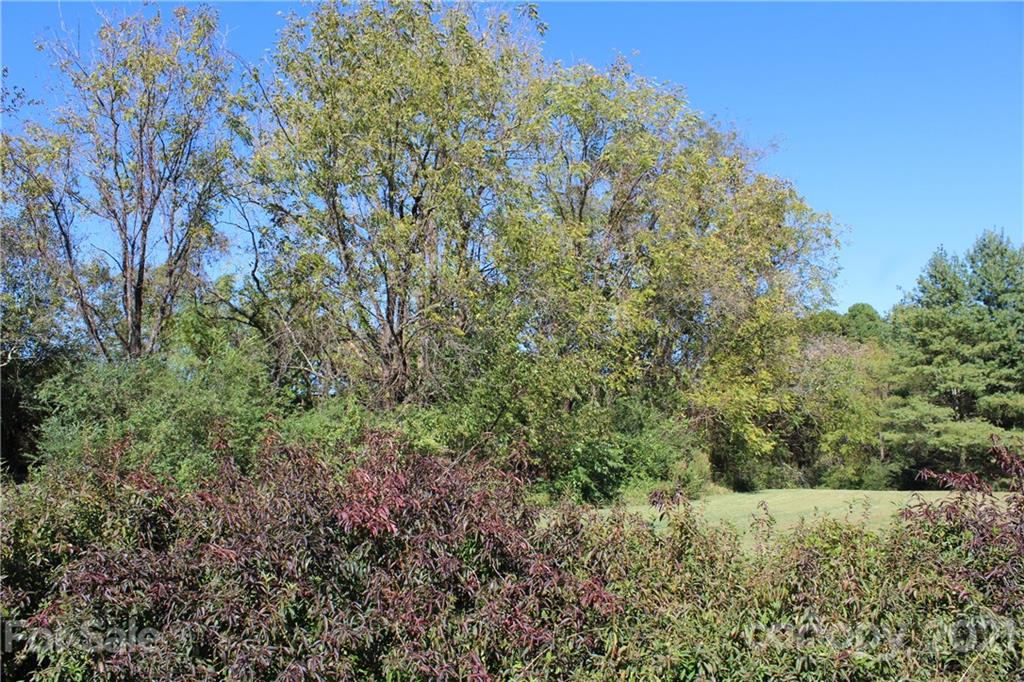9265 Paul Payne Store Road Stony Point, NC 28678 - Photo 8 of 24 Gallery Image 8