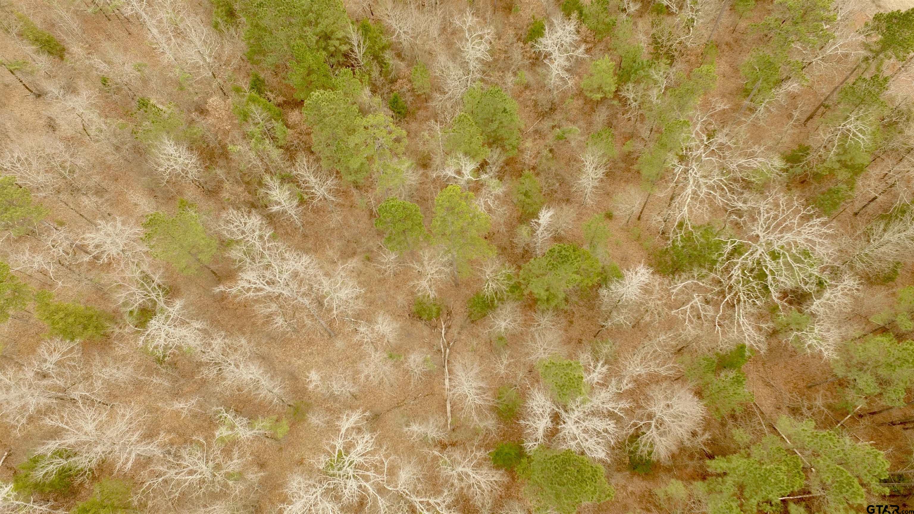 2307 Beasley Road Lone Star, TX 75668 - Photo 1 of 8 a bathroom with a small yard