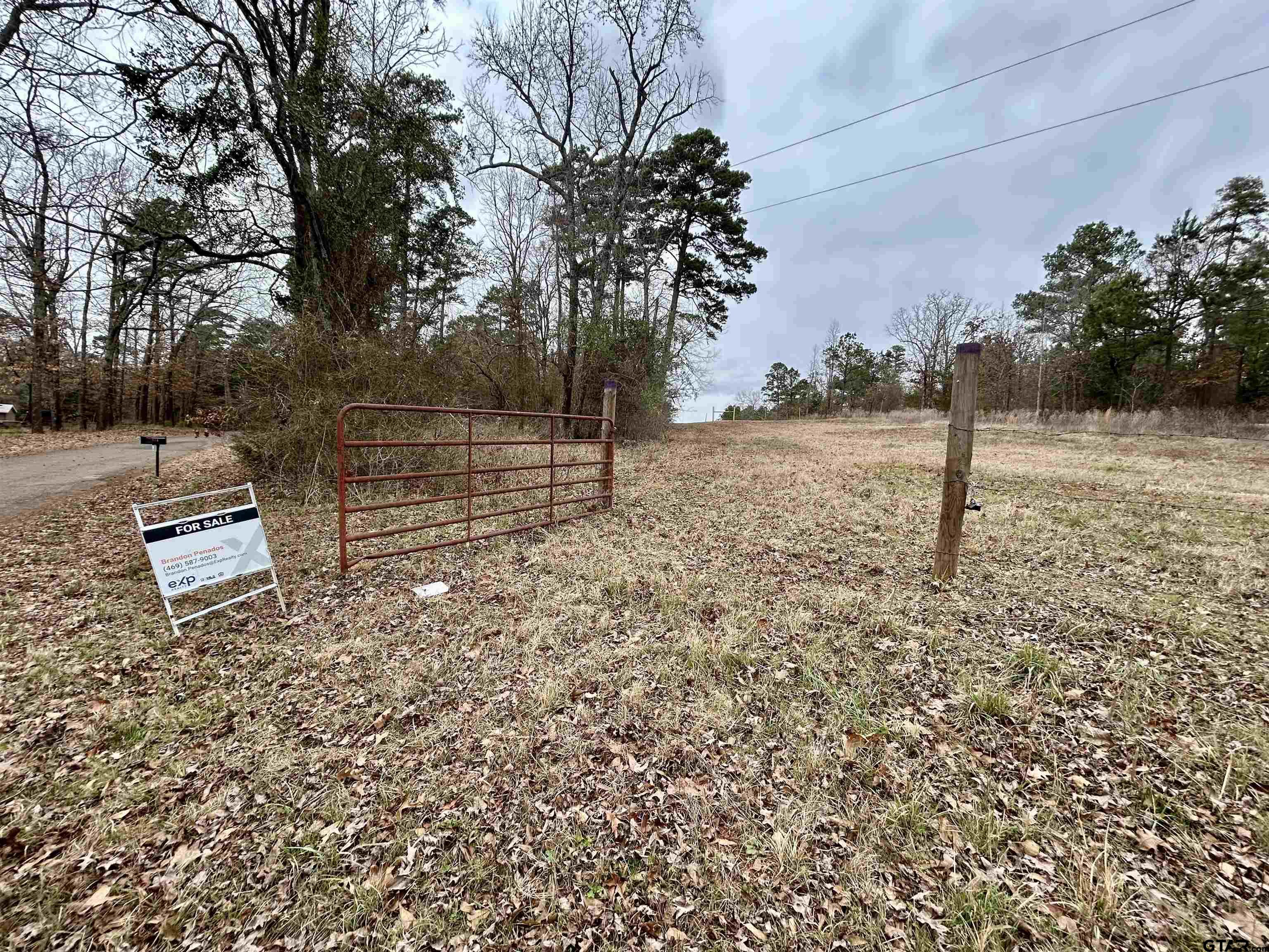 2307 Beasley Road Lone Star, TX 75668 - Photo 2 of 8 a backyard of a house with lots of green space