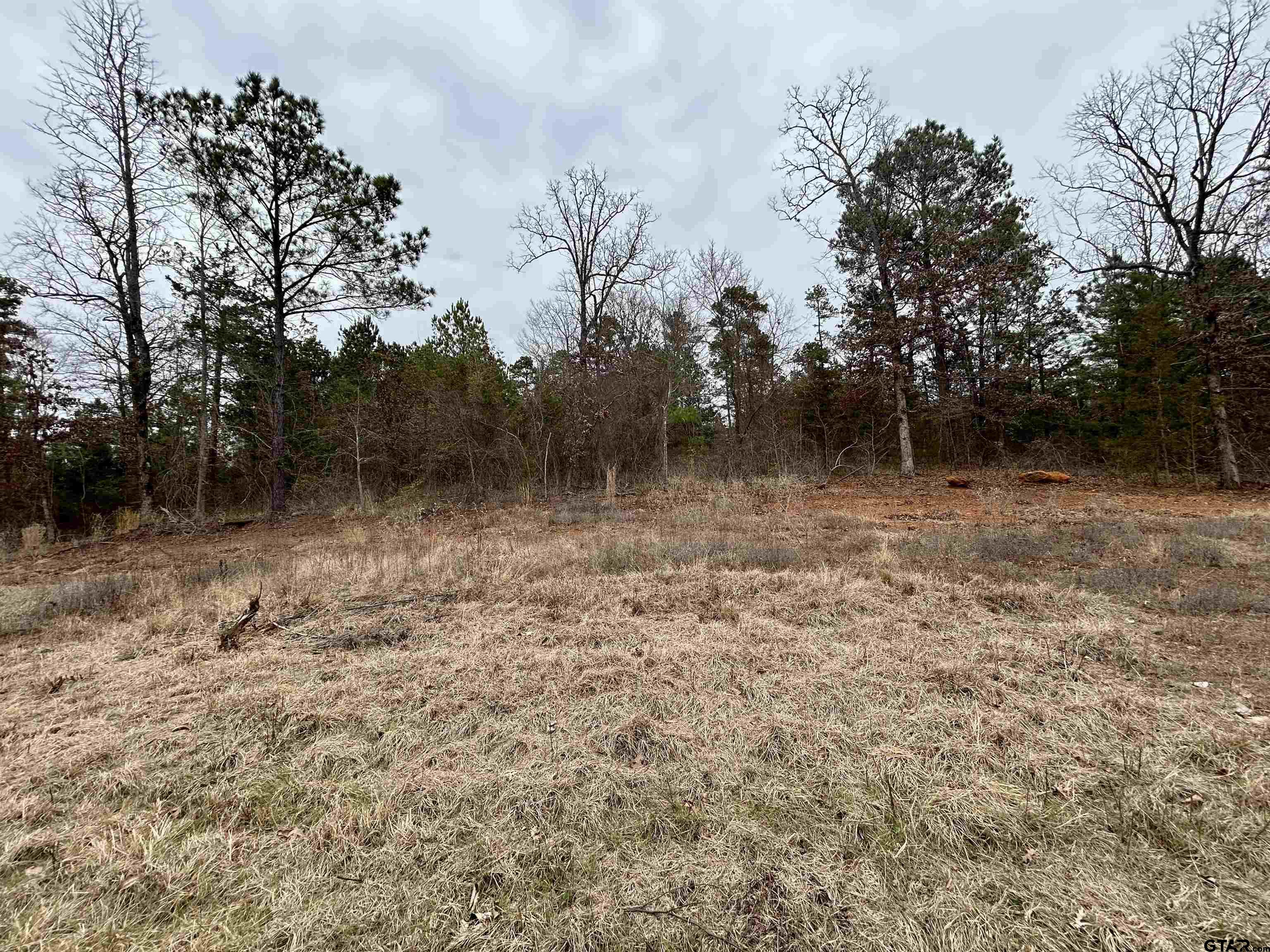 2307 Beasley Road Lone Star, TX 75668 - Photo 4 of 8 a view of a yard with trees
