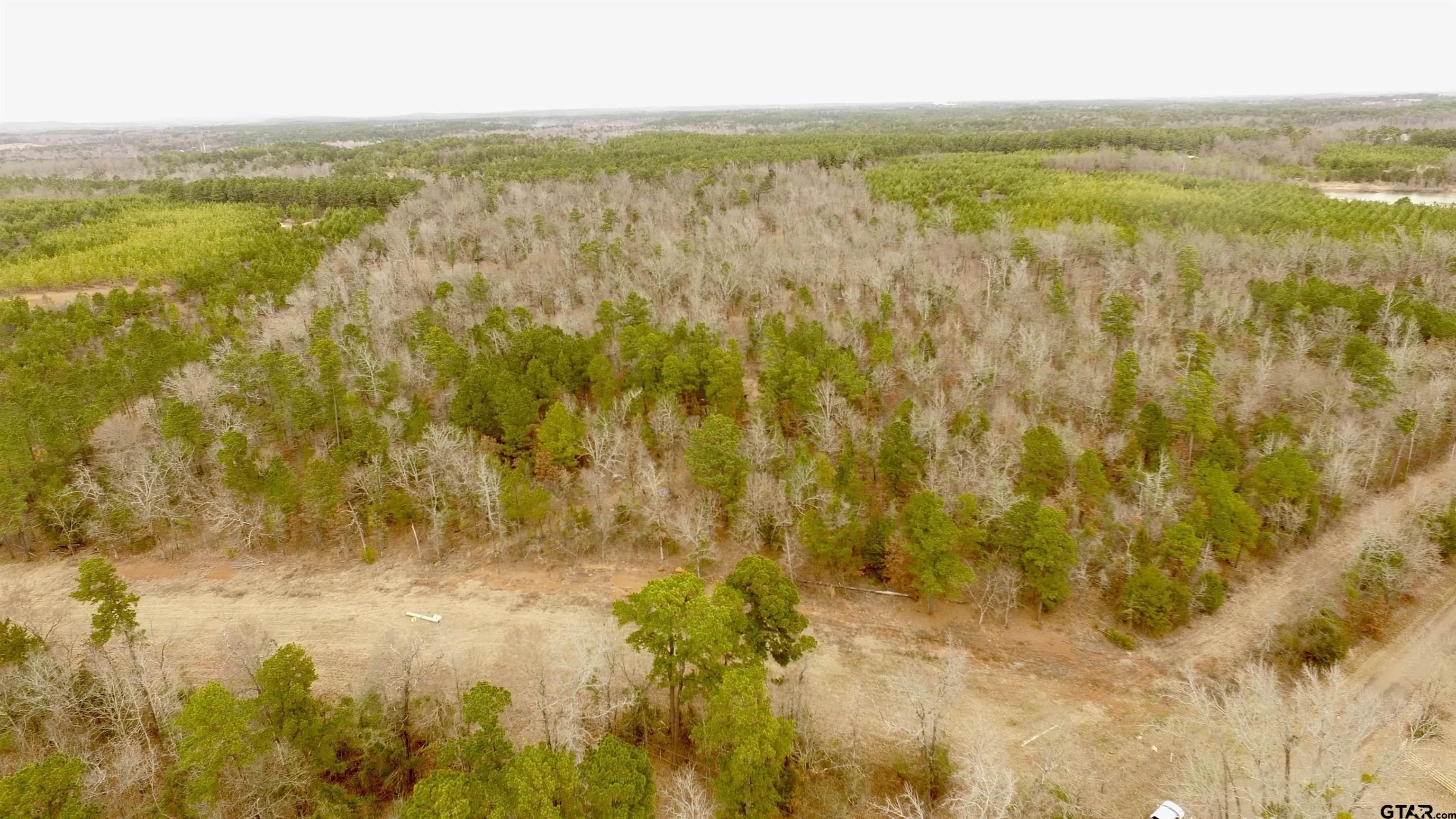 2307 Beasley Road Lone Star, TX 75668 - Photo 6 of 8 a view of ocean view