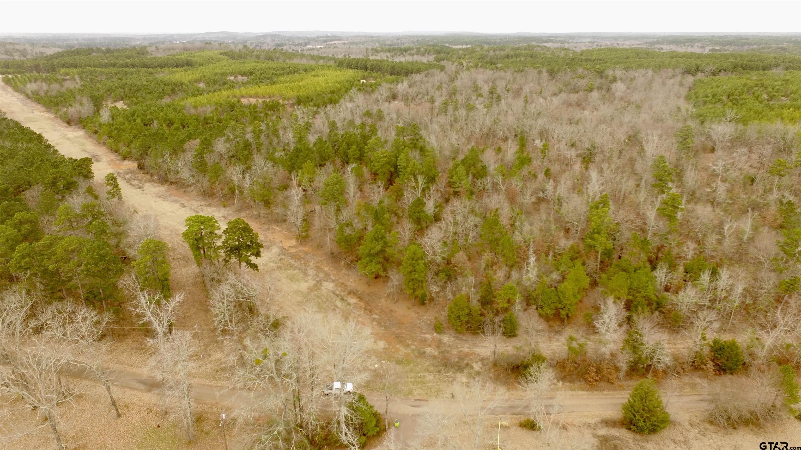 2307 Beasley Road Lone Star, TX 75668 - Photo 8 of 8 a view of lake with mountain