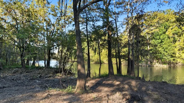 a backyard of a house with lots of trees