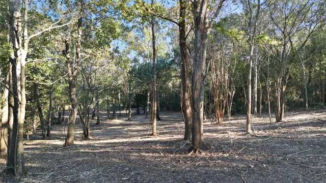 a view of a lake with a mountain