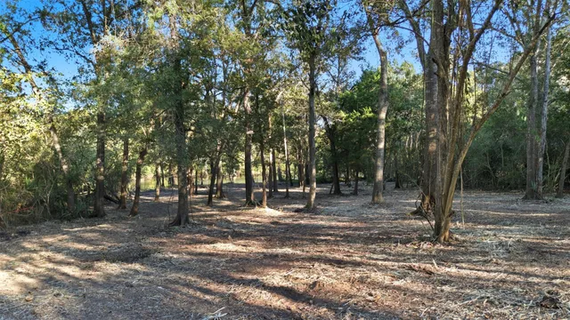 a view of backyard with green space