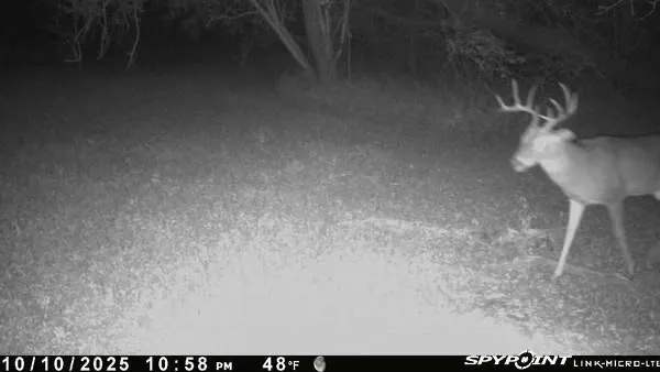 $65,000 | 112 Private Road, Dayton, TX 77535