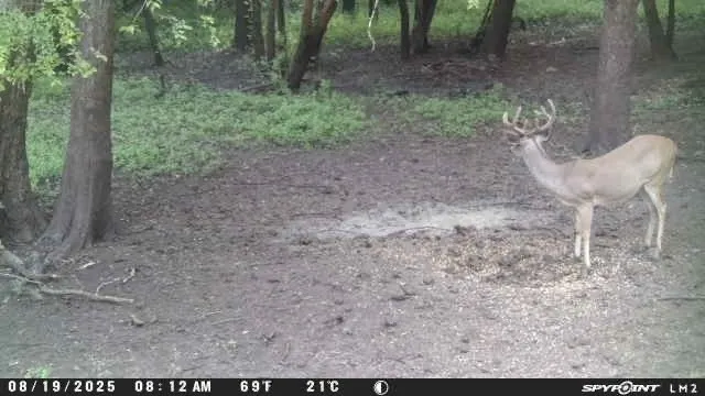 $65,000 | 112 Private Road, Dayton, TX 77535