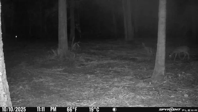 $65,000 | 112 Private Road, Dayton, TX 77535