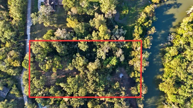 a view of a tree in the middle of a yard