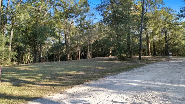 a view of dirt yard with a trees
