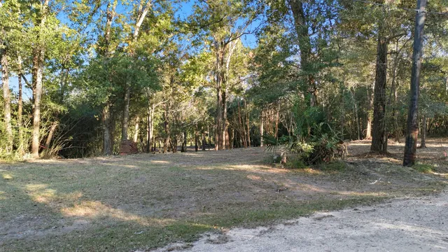 a view of outdoor space with trees all around