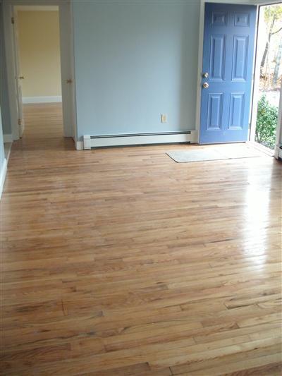 207 Sisson Road Harwich, MA 02645 - Photo 22 of 32 Additional Photo