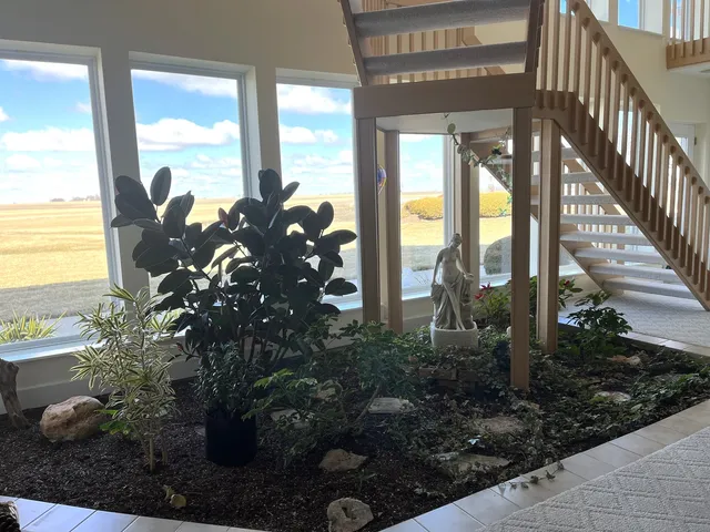 a view of a porch with a potted plant
