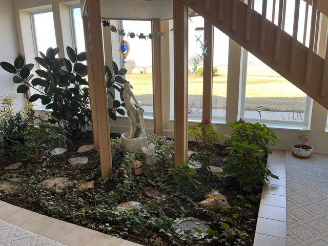 a view of a potted plants next to a building
