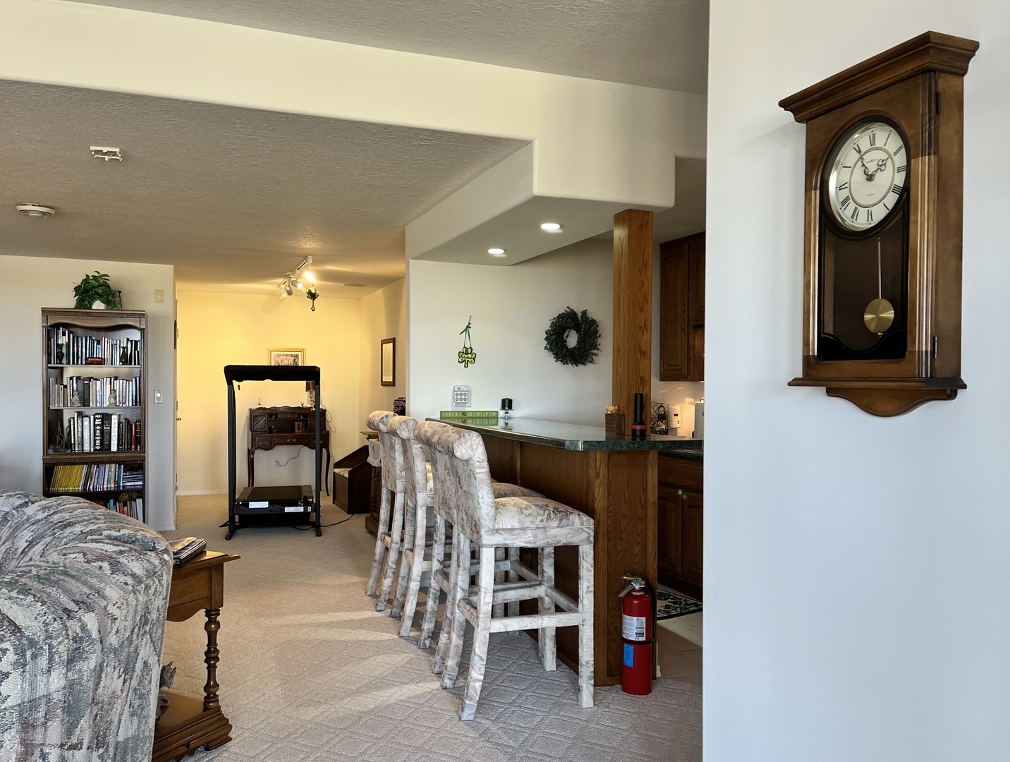 3 Carlock Drive Danforth, IL 60930 - Photo 29 of 40