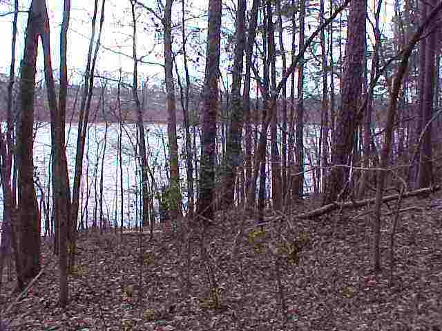 Tr A Tr A Frontage Road Anderson, SC 29621 - Photo 1 of 1 Gallery Image 1