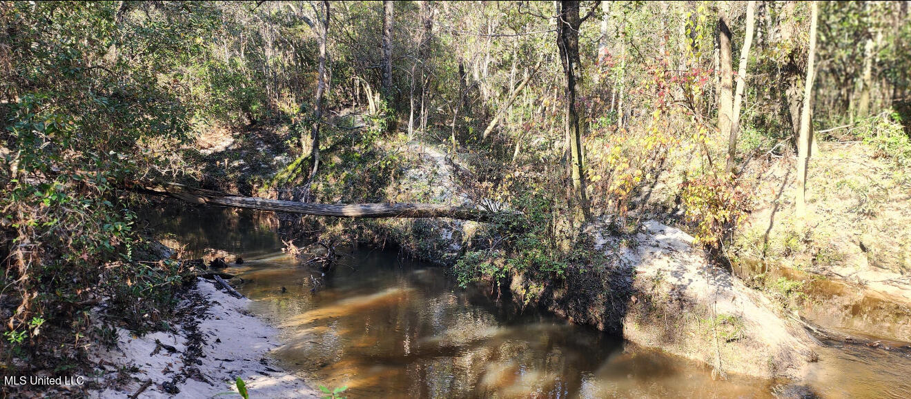 Nhn Runnymede Road Pass Christian, MS 39571 - Photo 11 of 13 IMG_3845