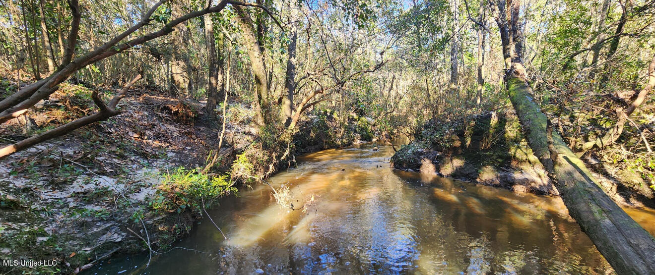 Nhn Runnymede Road Pass Christian, MS 39571 - Photo 13 of 13 IMG_3849