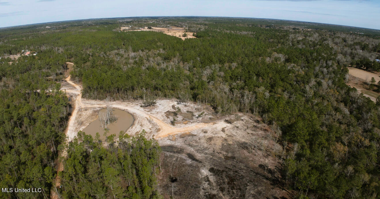 Nhn Runnymede Road Pass Christian, MS 39571 - Photo 3 of 13 Aerial
