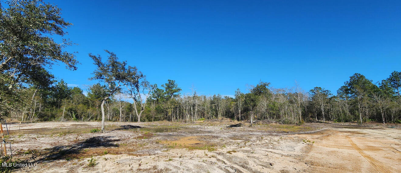 Nhn Runnymede Road Pass Christian, MS 39571 - Photo 5 of 13 Cleared