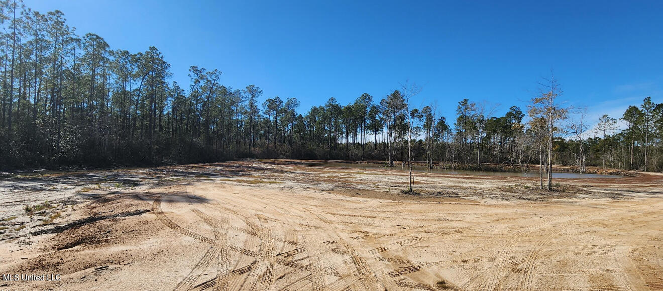 Nhn Runnymede Road Pass Christian, MS 39571 - Photo 6 of 13 cleared